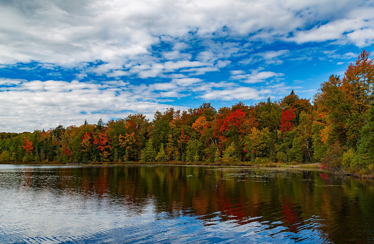 Photo of fall colors at Henry Lake, Ottawa National Forest, by Tony Webster, via Wikipedia